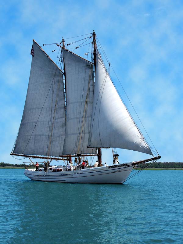 AJ Meerwald | Bayshore Discovery Project