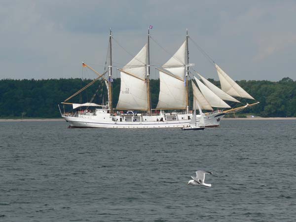 Grossherzogin Elisabeth | 