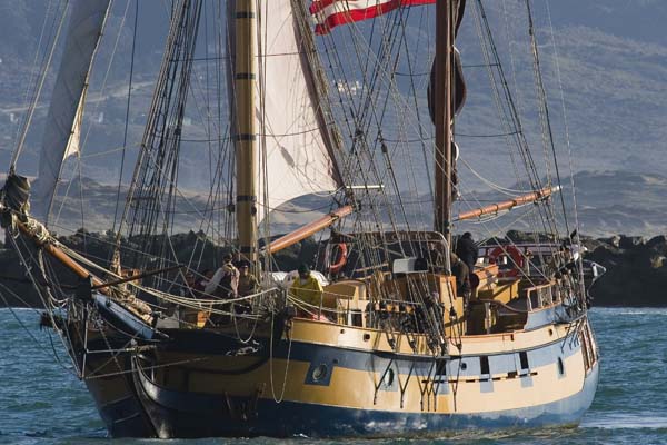 Hawaiian Chieftain | 