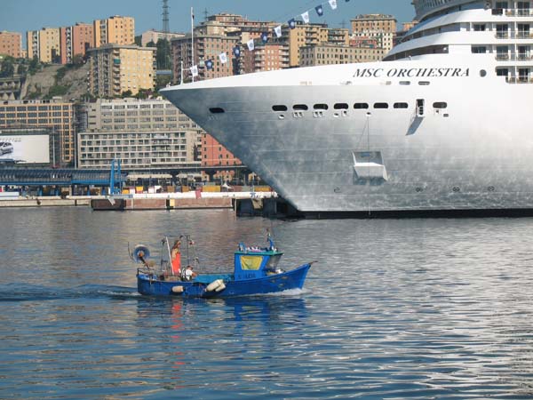 MSC Orchestra | MSC Italian Cruises