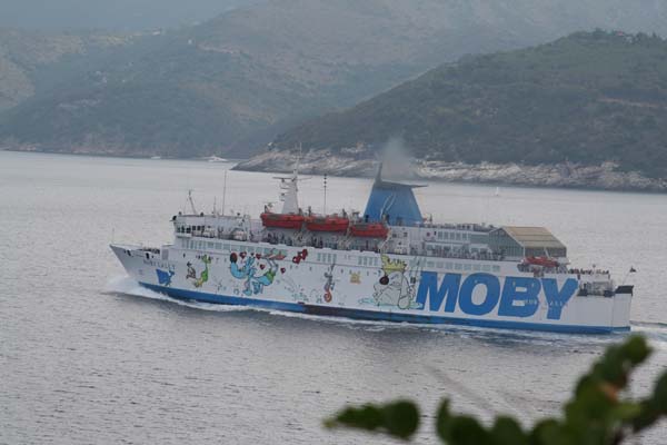 Moby Lally | Moby Lines