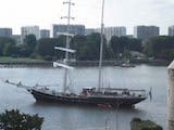 Swan fan Makkum