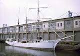Gazela