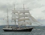Tenacious