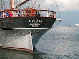 Elissa