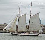 Liberty Clipper