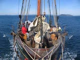 Pacific Grace