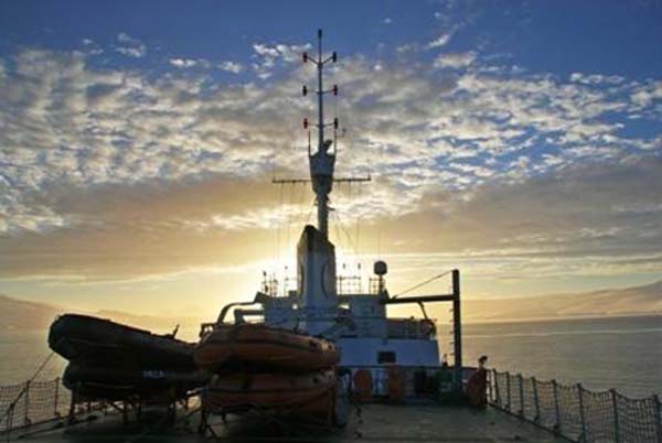 Antarctic Dream | Antarctic Shipping