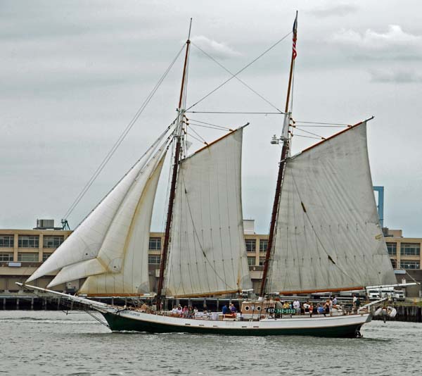 Liberty Clipper | 