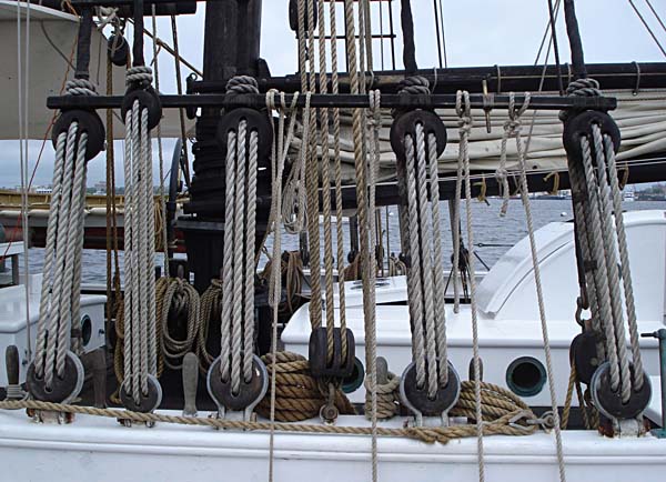 Alabama | The Black Dog Tall Ships