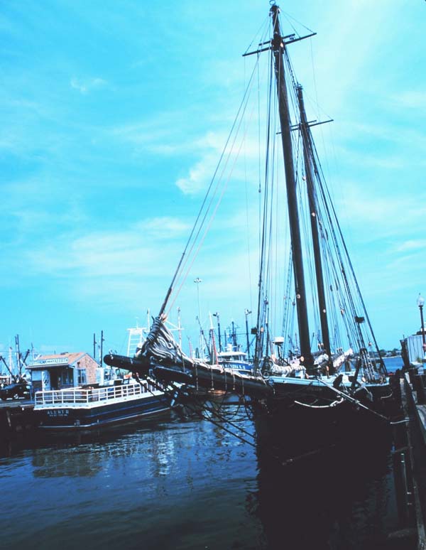 Ernestina | 
